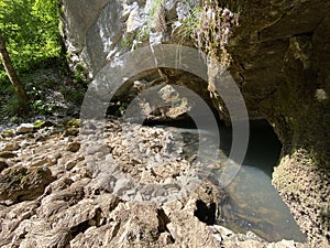 Source of the river GerovÃÂica, Zamost - Region of Gorski kotar, Croatia / Izvor rijeke GerovÃÂice ili vrelo rjeÃÂice GerovÃÂice photo